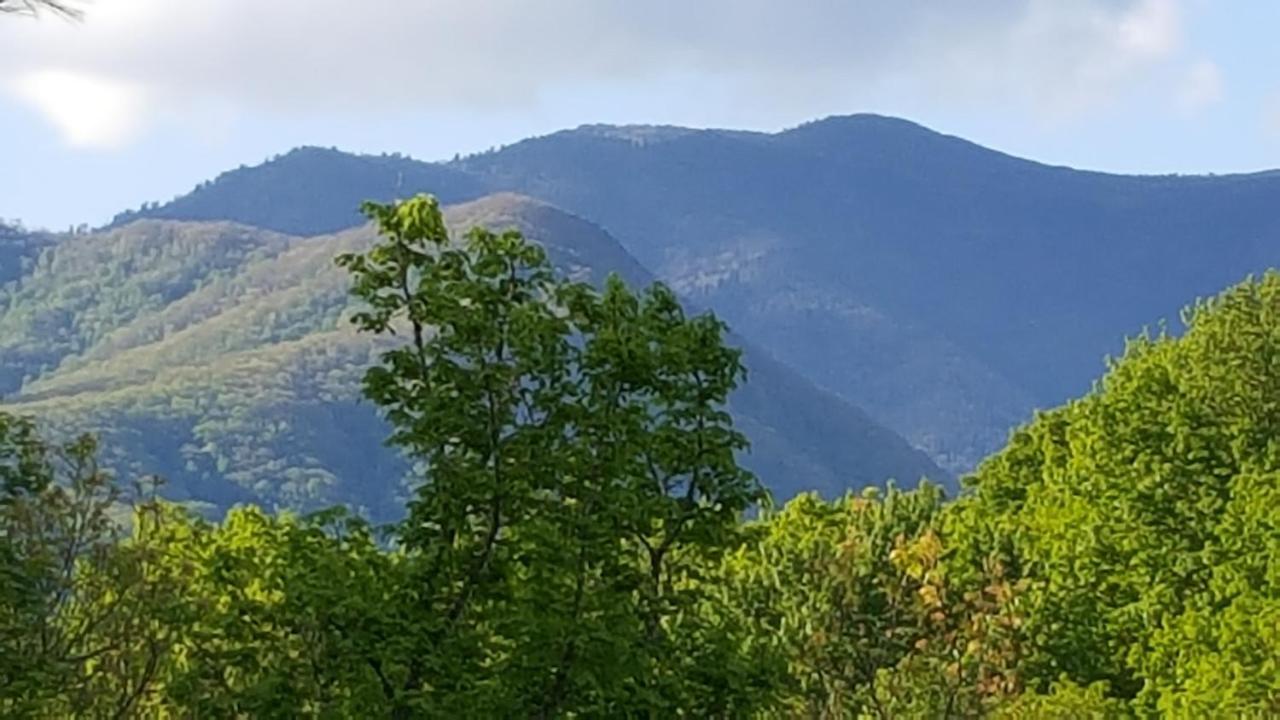 Mountain Serenity 蓋特林堡 外观 照片